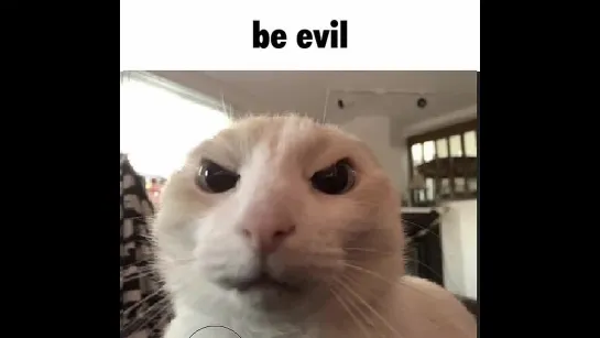 Be Evil // Be Nice