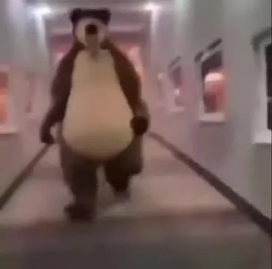 Bear chasing person down hall meme