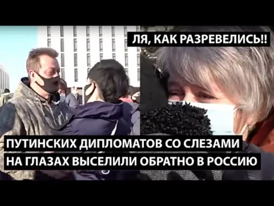 Вот, Граждане, посмотрите, как рады возвращению на Родину наши патриоты, отплывающие с чужбины к любимым берегам...