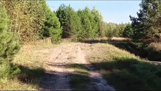 Video by Nikolay Schukin