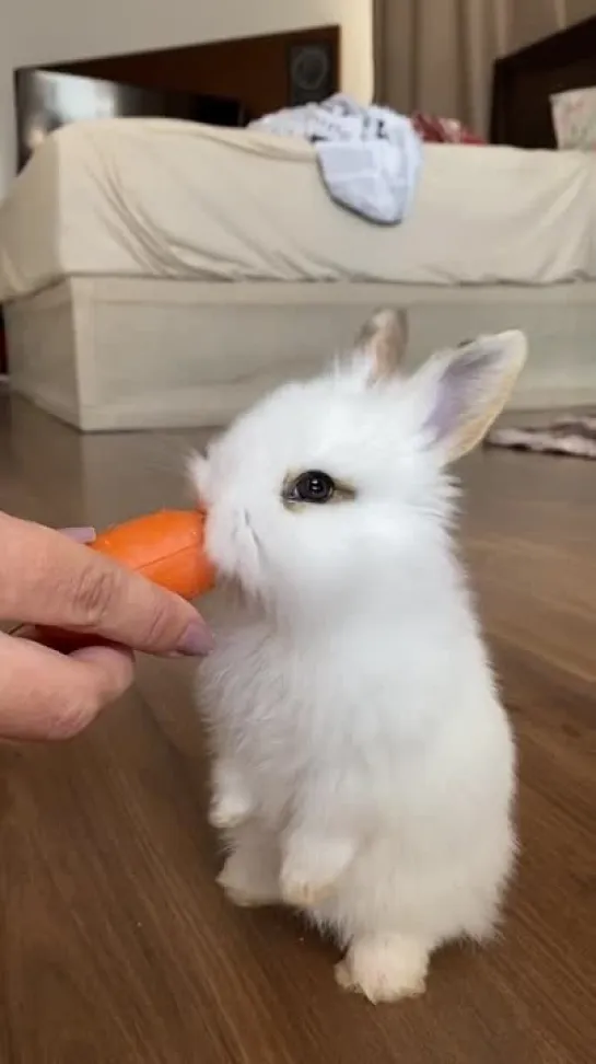 Утренняя витаминизация 🥕