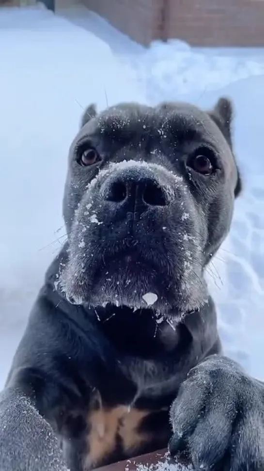 Классный пацан и дружбан!