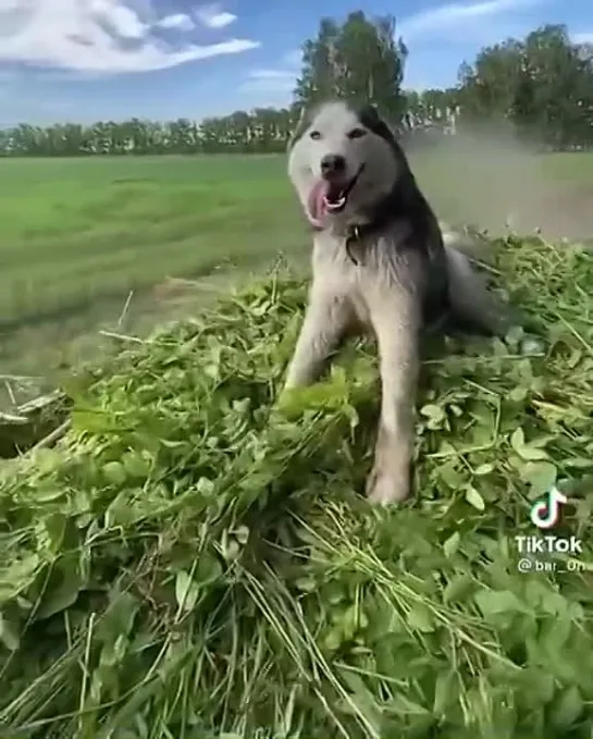 Возвращаемся в город!