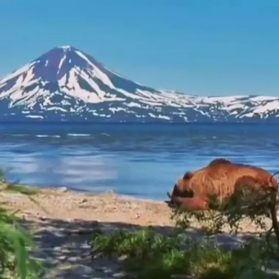 Курильское озеро, Камчатка.