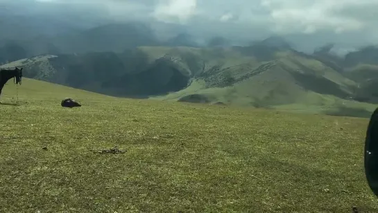 ОХОТА ЗА ЗВЕЗДАМИ В БОЛОТЕ...