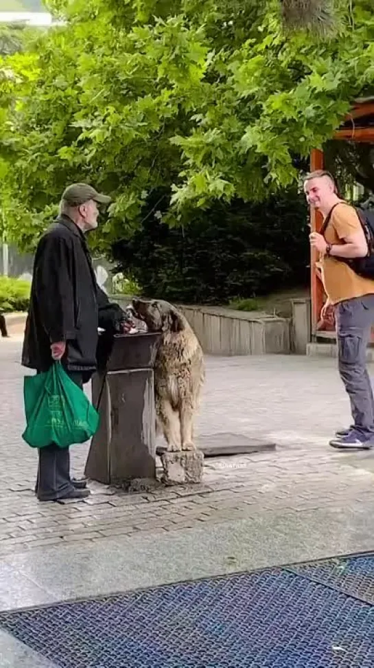 Спасибо, человек!