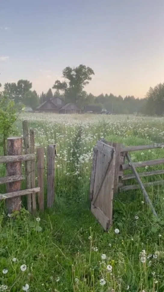 Раннее утро в Кировской глубинке.