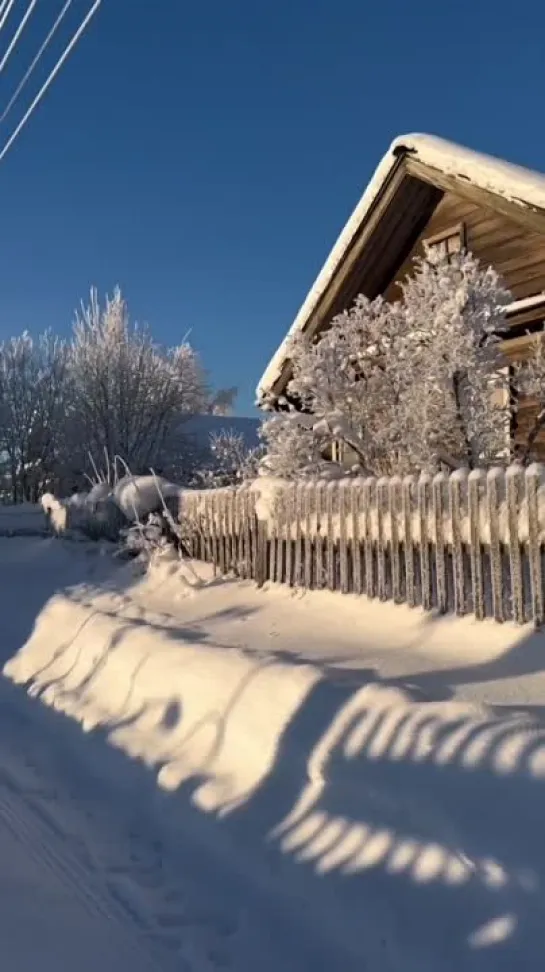 Зима в Вепсском лесу ❄️