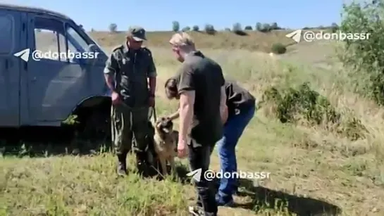 ❗️Братьям Запашным показали работу военных кинологов ЛНР

Знаменитые дрессировщики привезли помощь кинологическому центру.