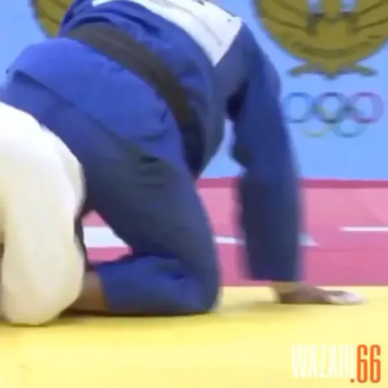 Judo Vine | vk.com/zal_sambo