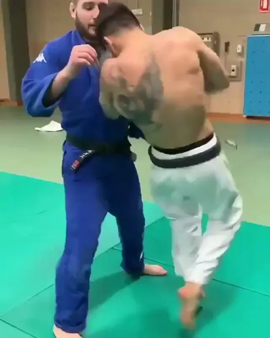 Judo Vine | vk.com/zal_sambo