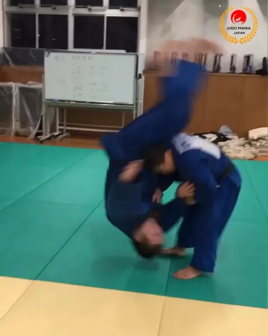 Judo Vine | vk.com/zal_sambo