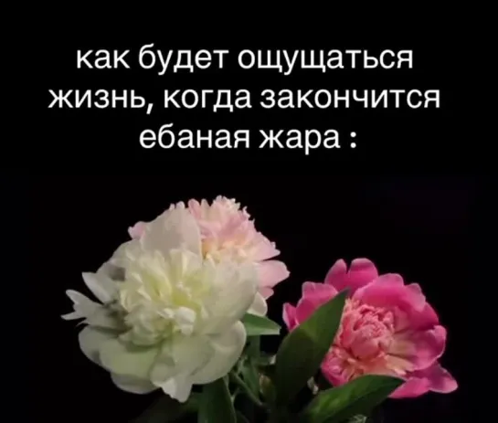 Video by В И Д О С И К И