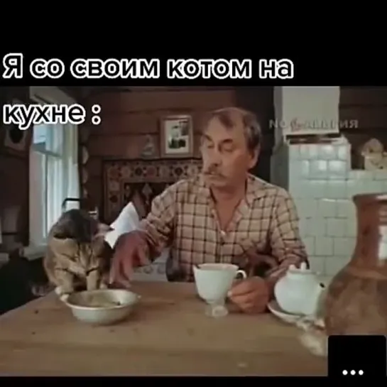 Я со своим котом на кухне