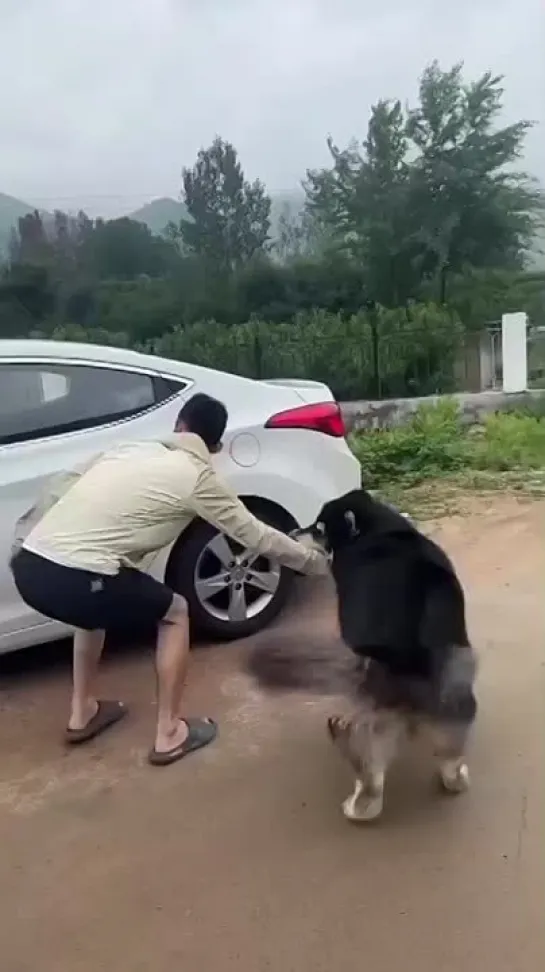 Я поеду с тобой!