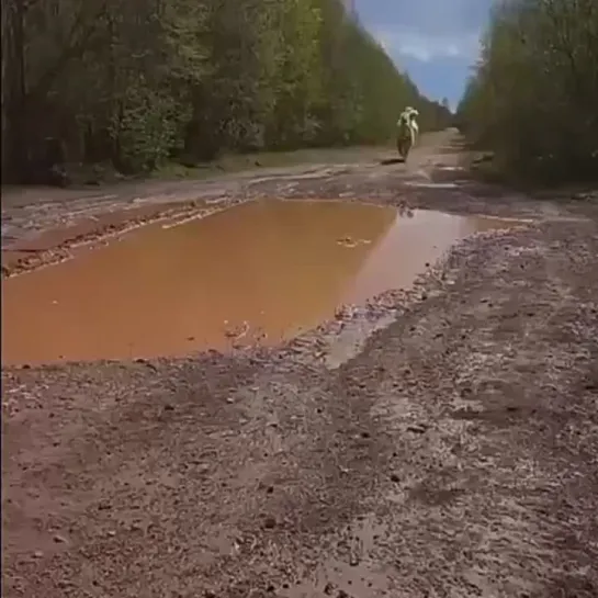 В Бокситогорском районе у местных живет домашний верблюд по кличке Вася🐫