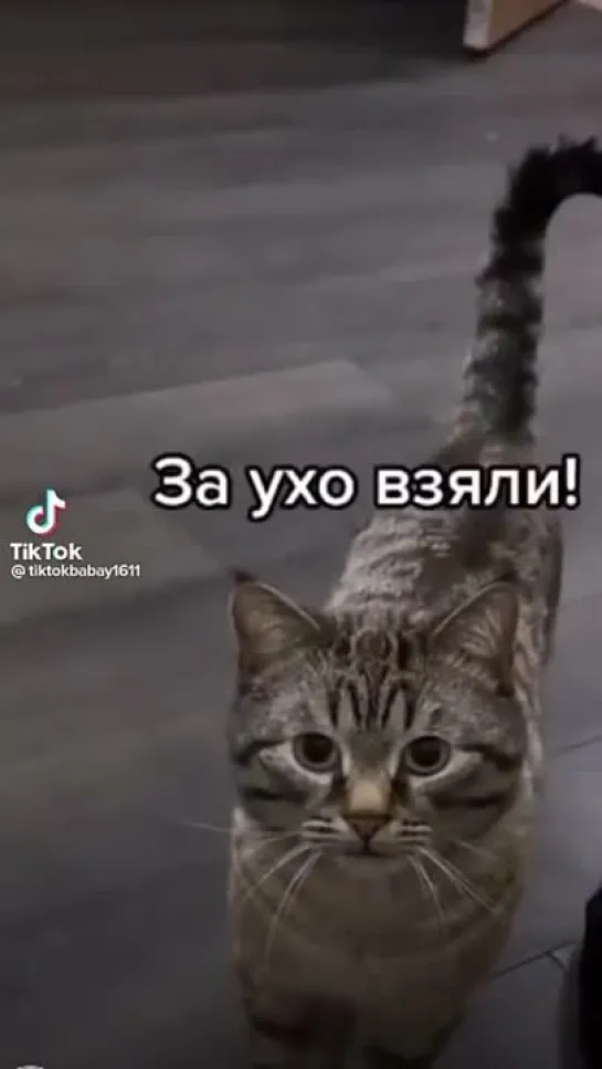 Пришел жаловаться