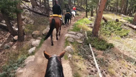 Red Dead Redemption vs. Real Life.webm