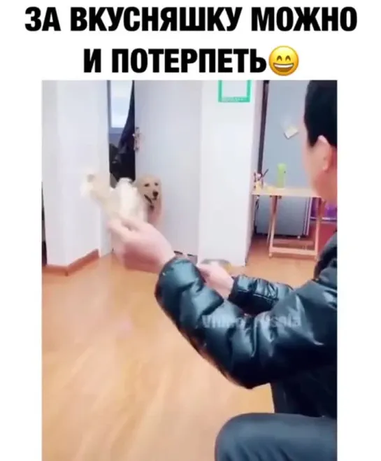 Уколы ни кто не любит)