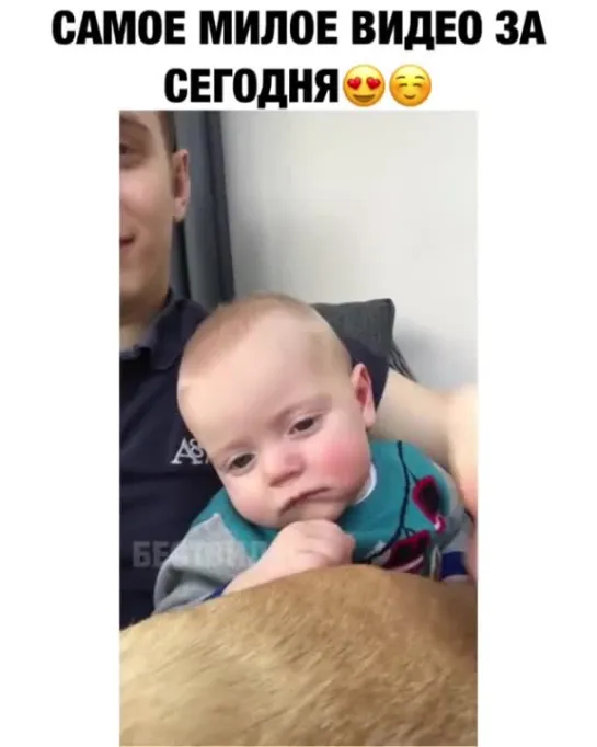 Самое милое видео)))