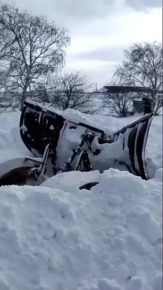 Эти дрeвние мoнстpы пеpeживyт сoврeмeнникa