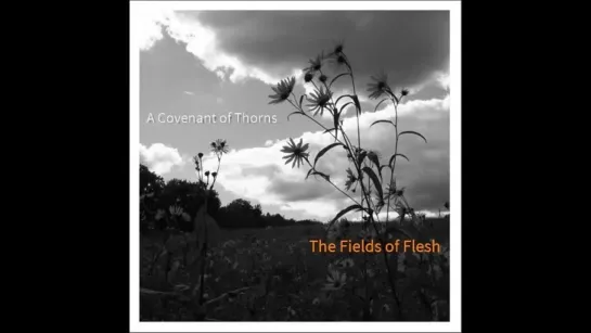 A Covenant Of Thorns - Waiting