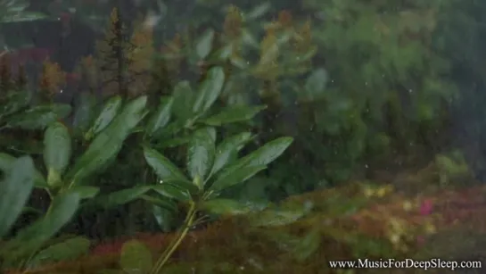 Thunderstorm, Rain and Ocean Waves