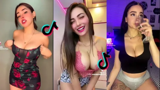 TikTok Hub Collections 2023