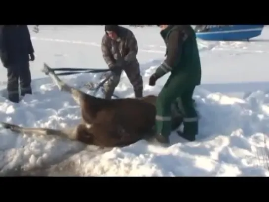 благородные, милосердные и мужественные мужчины