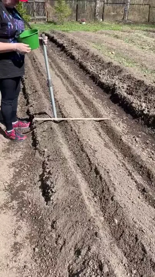 Посев без ущерба для спины