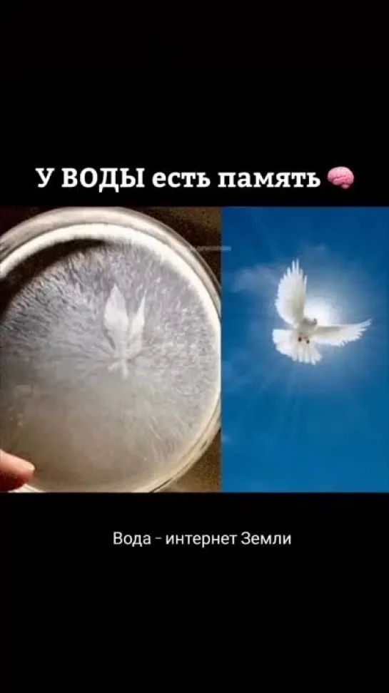 ❓❄💧У воды есть память?