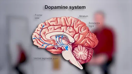 Дофамин, Паркинсон, Шизофрения и возбуждающий сыр!) Вячеслав Дубынин