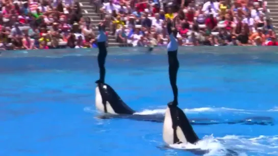 SHAMU