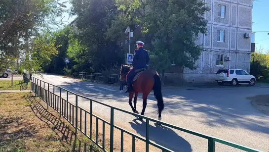 Казак Сергей Ульяненко приехал голосовать верхом на коне