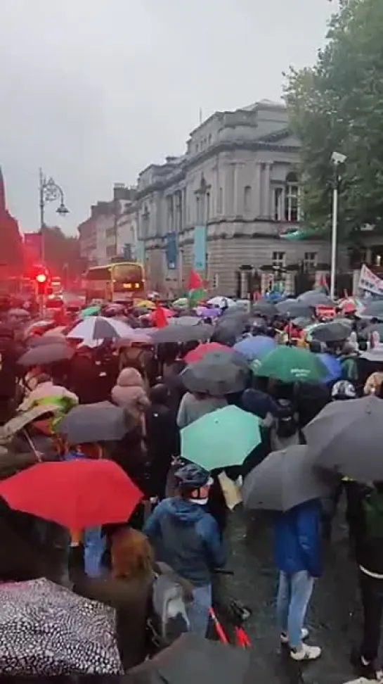 Дублин в поддержку Палестины.