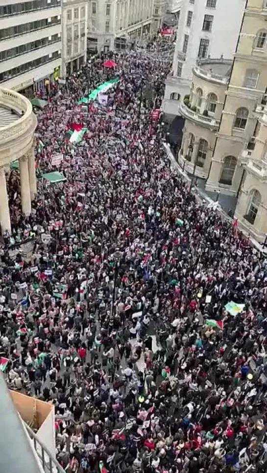 Лондон  в поддержку Палестины.