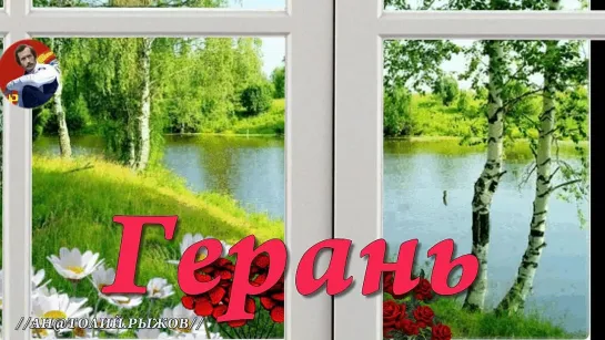 ◄♥►ГЕРАНЬ◄♥► Надежда Мельянцева