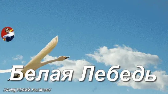 ◄♥►БЕЛАЯ ЛЕБЕДЬ◄♥► Хасан Хубиев