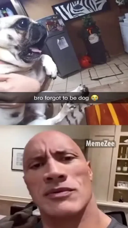 bro forgot he a dog