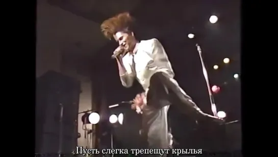 [Live] Buck-Tick - Fly High {RUS}