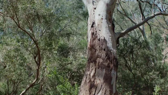 Back.To.Nature.s01e04