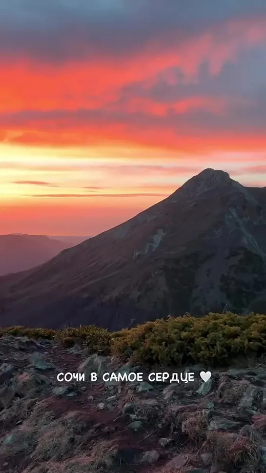 🌄❤️Не делитесь этим видео с друзьями, а то они тоже узнают, что в Сочи можно увидеть такой закат