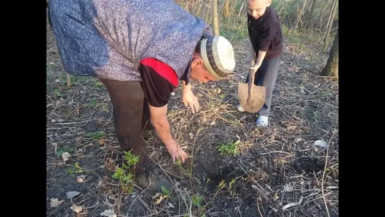 Видео от Дом-Культуры Зуевки