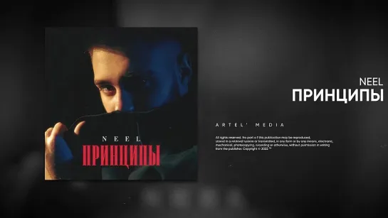 NEEL - Принципы (Премьера песни, 2023)