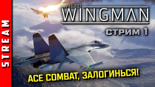 Стрим | Project Wingman. Братья пилоты уже не те... Часть 1. [EFP]