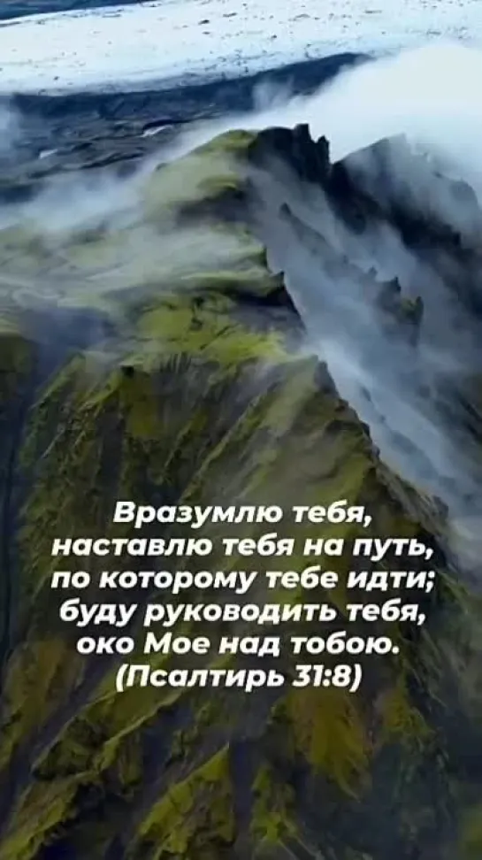 Много скорбей нечестивому, а уповающего на Господа окружает милость. | Псалом 31