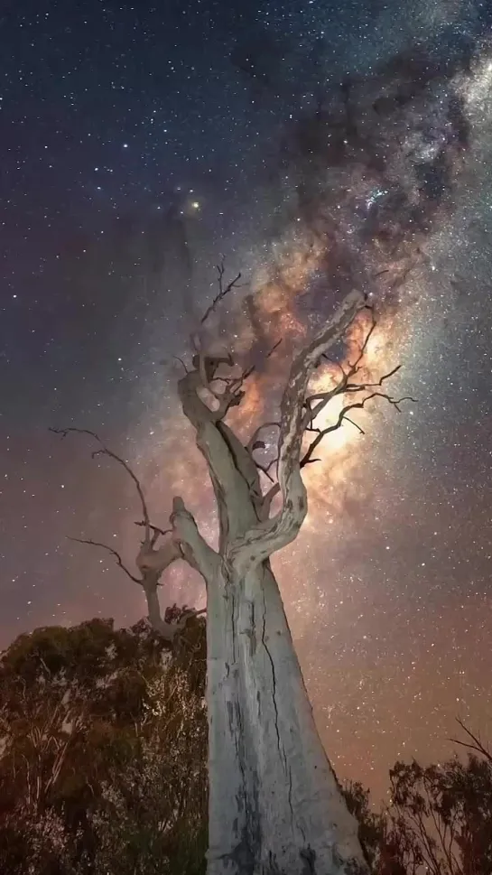 Неземная  красота Млечного пути🌠 над Австралией🦘  🇦🇺