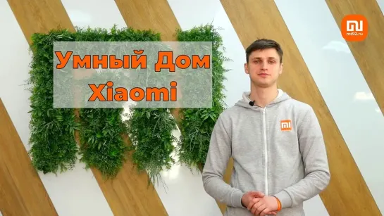 Обзор умного дома Xiaomi