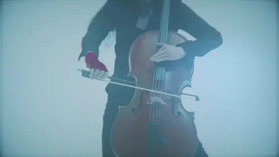 Apocalyptica - What We're Up Against