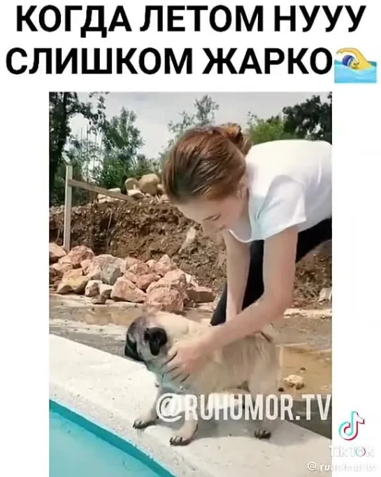 Video by Кинология